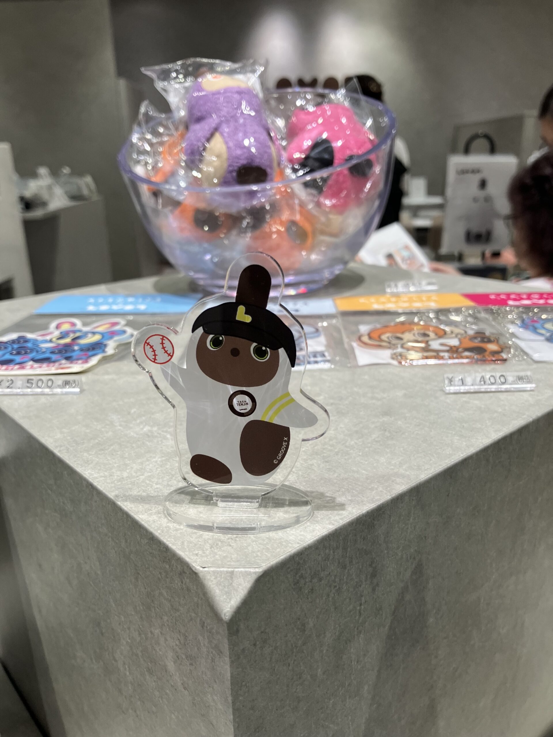 福岡のLOVOTストアに行きました！！